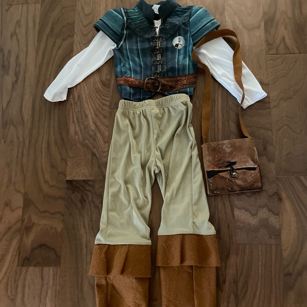 Disney Flynn Rider costume